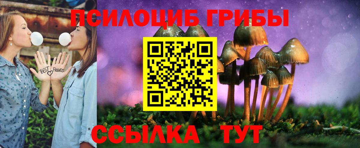 где купить наркоту  Псилоцибиновые грибы Cubensis  Вход с VPN  Сергиев Посад 